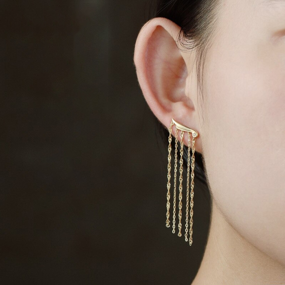 earrings earrings