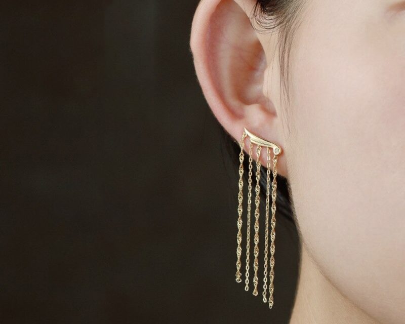 earrings earrings